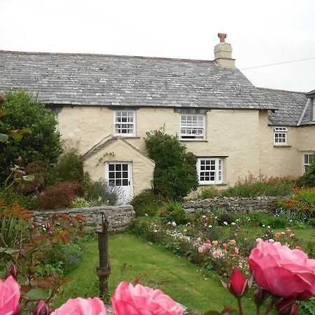 Crackington Haven高特里斯蒙农场住宿加早餐旅馆住宿加早餐旅馆 外观 照片