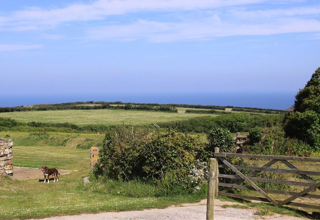 Crackington Haven高特里斯蒙农场住宿加早餐旅馆住宿加早餐旅馆 外观 照片